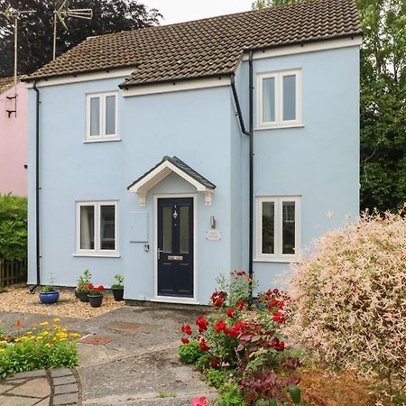 Mews Cottage Carmarthen Buitenkant foto
